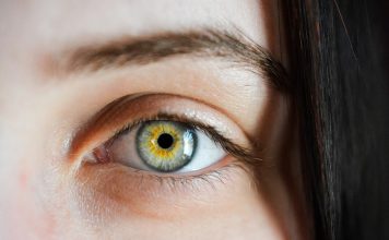 עיצוב גבות עיצוב גבות